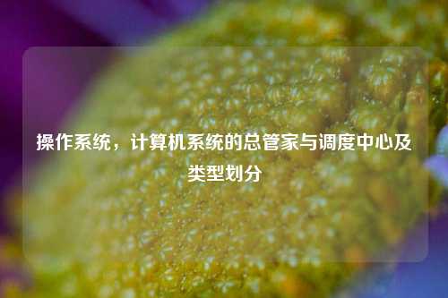 操作系统，计算机系统的总管家与调度中心及类型划分