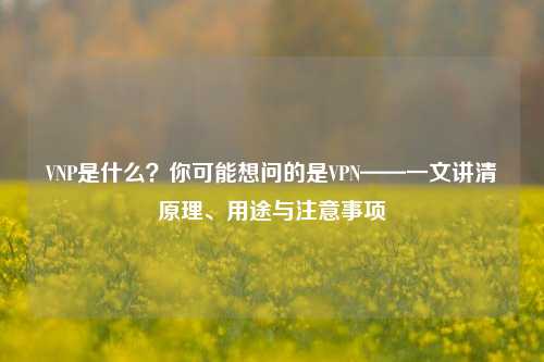 VNP是什么？你可能想问的是VPN——一文讲清原理、用途与注意事项